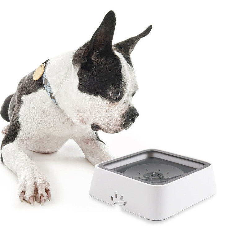 Wassernapf-SNOOP ohne lästiges Tropfen für Hunde und Katzen - Keine nassen Böden mehr!