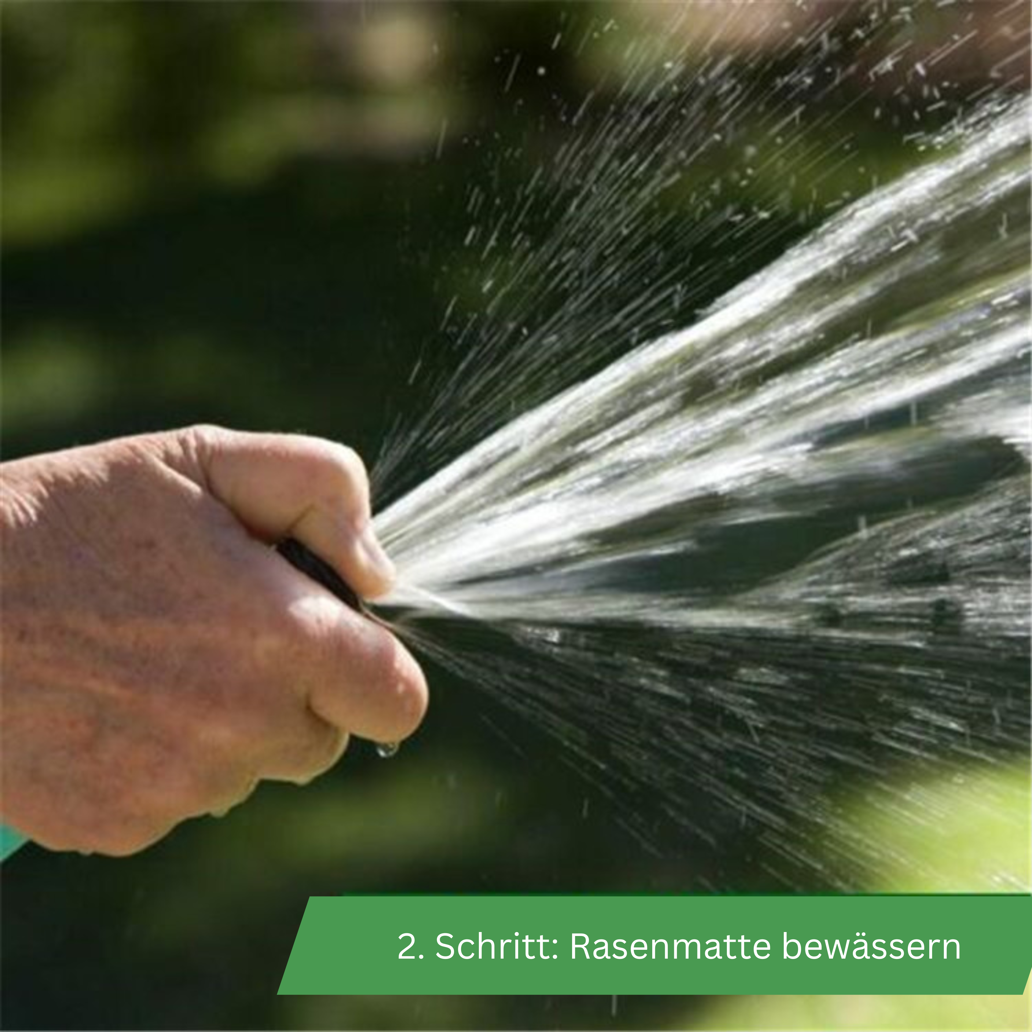 Biologisch abbaubare Grassamenmatte - Perfekt platzierte Rasensamen
