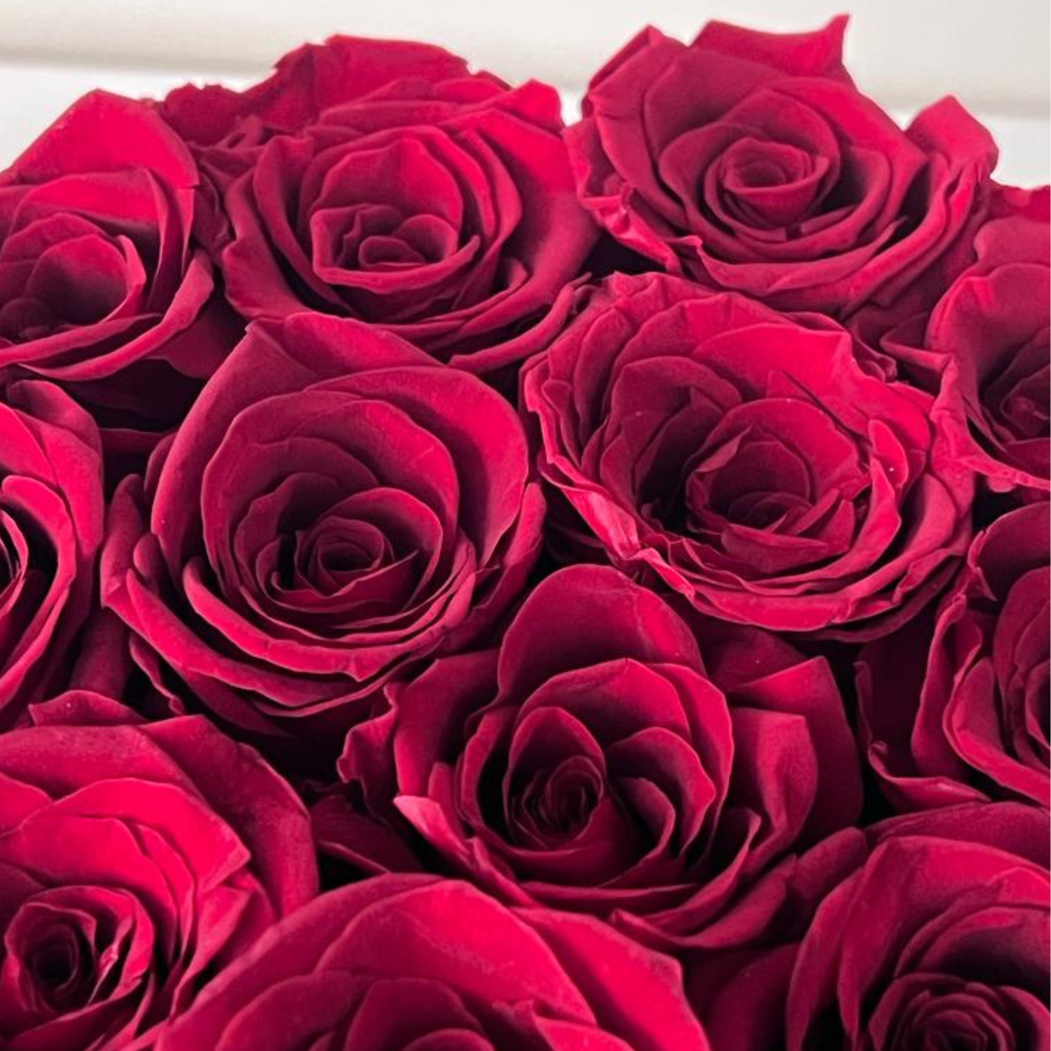 Rosenbox